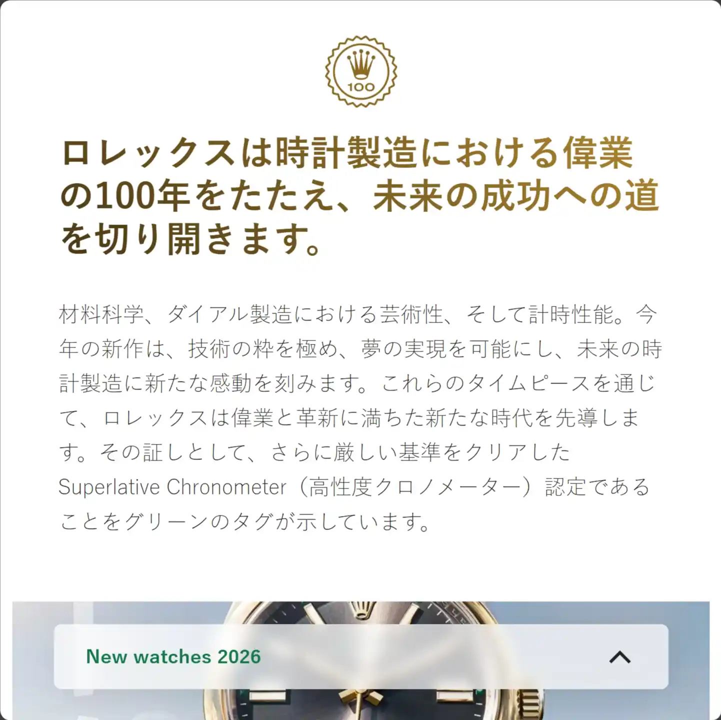 Rolex website concept illustration